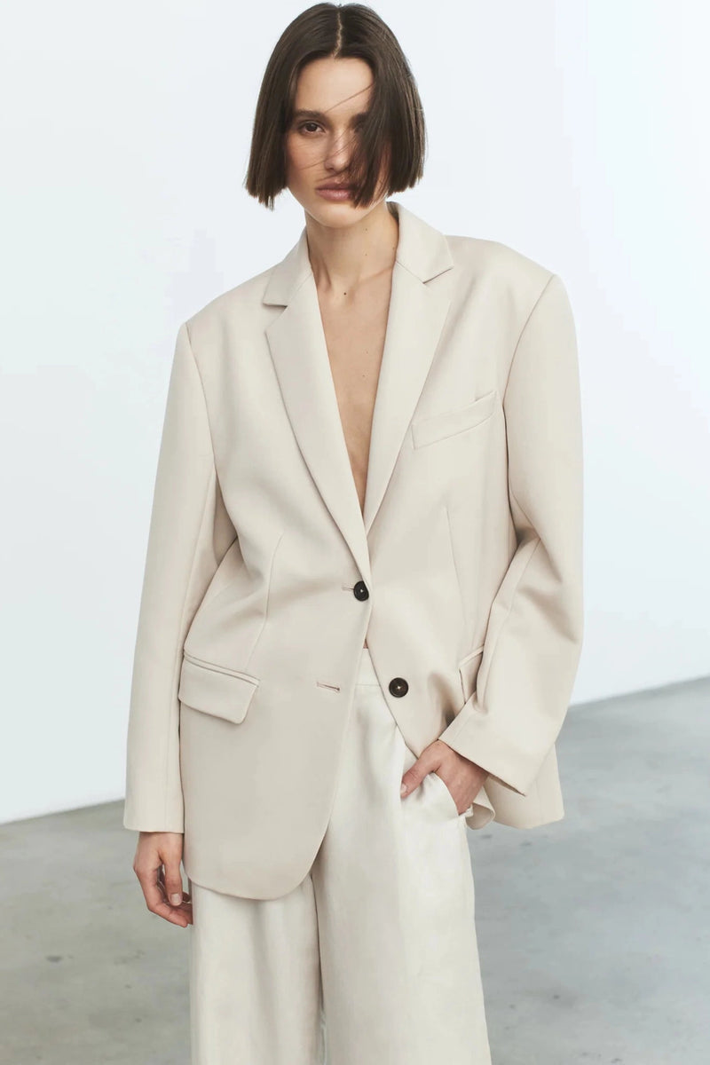 Anine bing charlotte clearance blazer