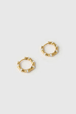 Electra Gold Earrings