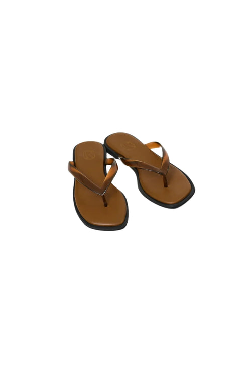 Pair of brown sandals on a white background