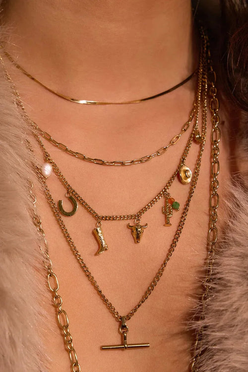 Rodeo Gold Charm Necklace