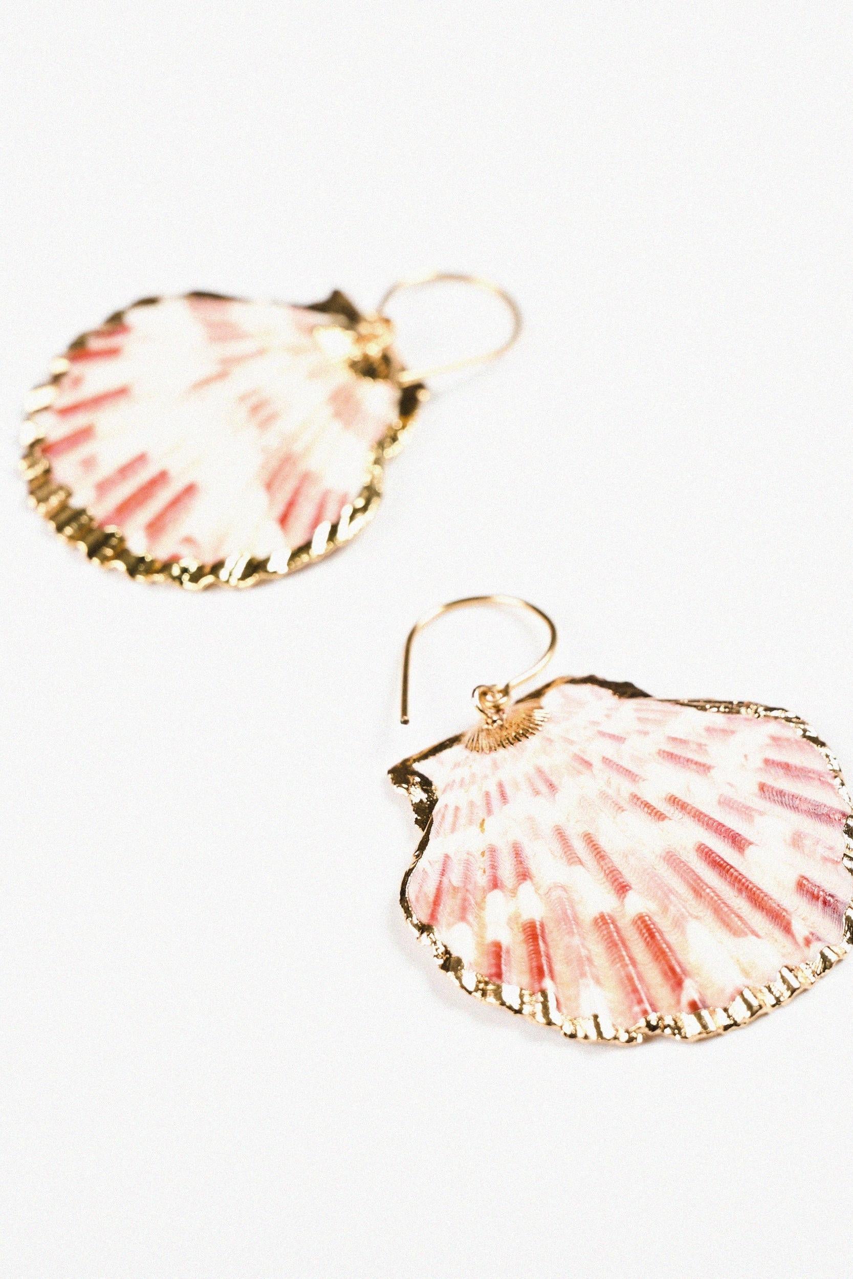 Sisi Clam Shell Sisi Shell Earrings – ROAR CLOTHING PTY LIMITED