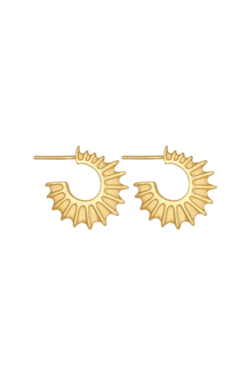 Gold hoop earrings on a white background