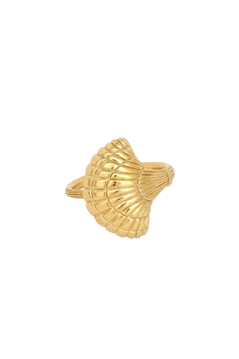 Gold shell-shaped ring on a white background