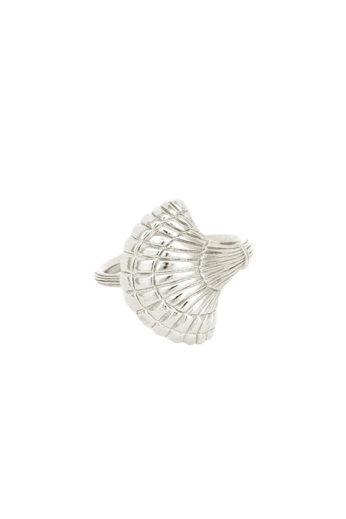Silver shell-shaped ring on a white background