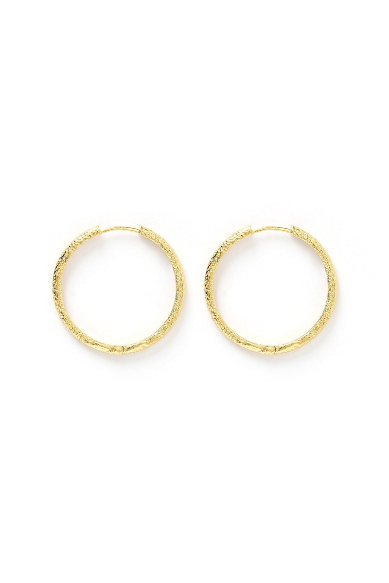 Sebastian Gold Hoop Earrings