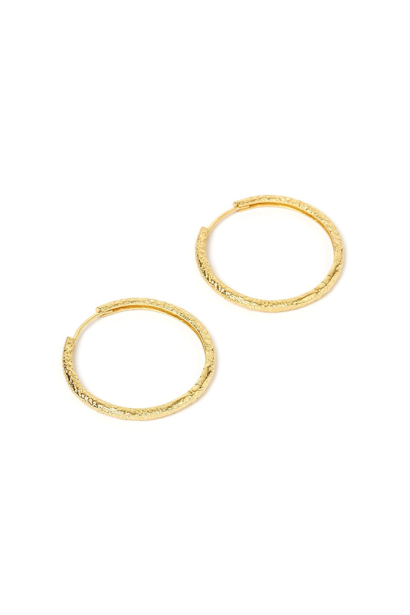 Sebastian Gold Hoop Earrings